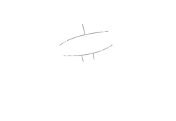 DENTAL PLACE