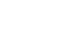 Fast Ferries