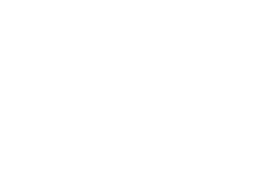 Handling