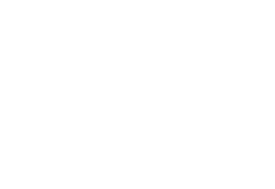 MINI MOKE