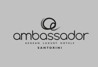Ambassador
