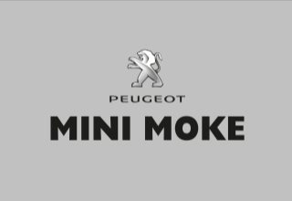 MINI MOKE