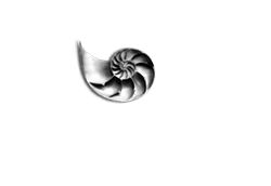 Nautilus Mykonos