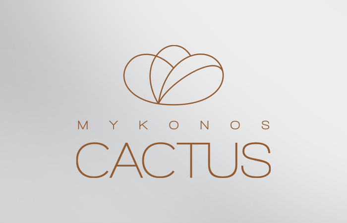 Mykonos Cactus Hotel