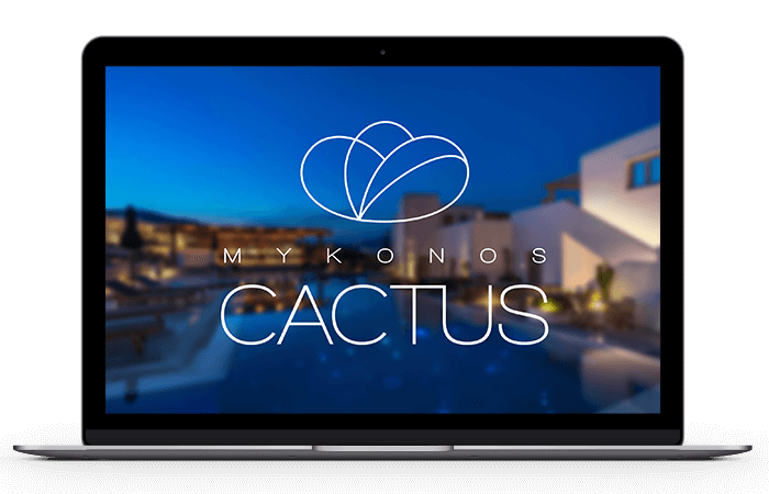 Mykonos Cactus: Social Media / Performance