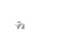 Nyfan