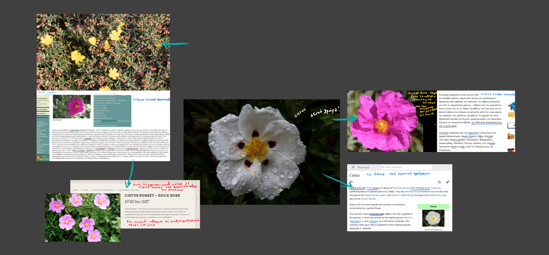 Image_8
